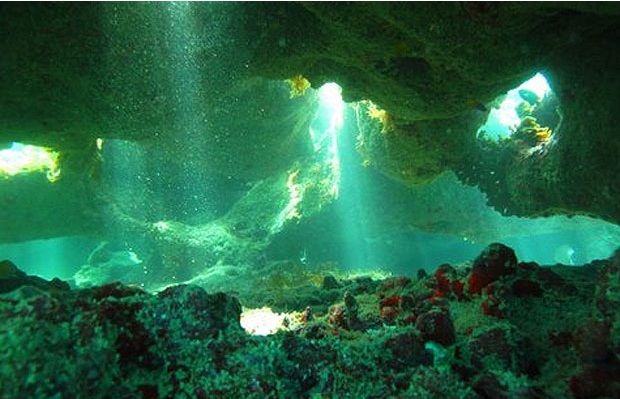 Beleza natural de Abrolhos